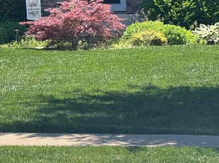 Byron E.'s Lawn Service service result