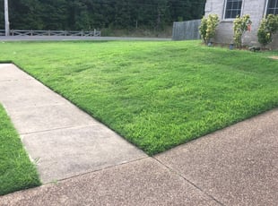 Jack F.'s Lawn Service service result