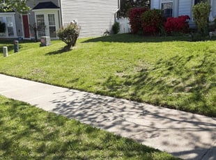 Timothy G.'s Lawn Maintenance service result