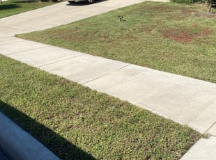 George I.'s Lawn Service service result