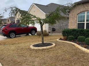 Angel D.'s Lawn Care service result