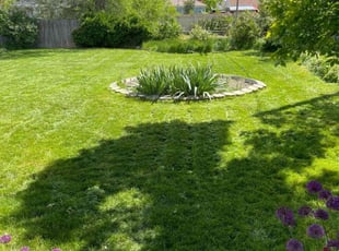 Elisha J.'s Lawn Care service result