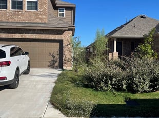 Christina M.'s Grass Cutting service result