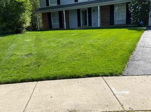 Greg S.'s Grass Cutting service result