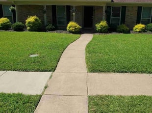 Donna R.'s Lawn Mowing Service service result