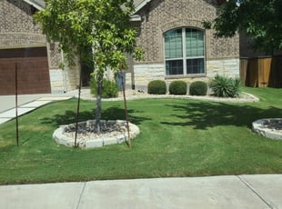 George or Cameron H.'s Lawn Service service result