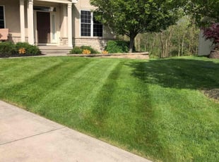 Kerriscia G.'s Lawn Care service result