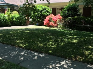 Jerrie M.'s Lawn Maintenance service result