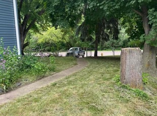 Todd B.'s Yard Cutting service result