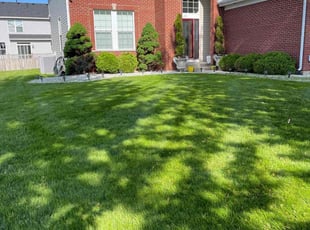Stephanie S.'s Grass Cutting service result