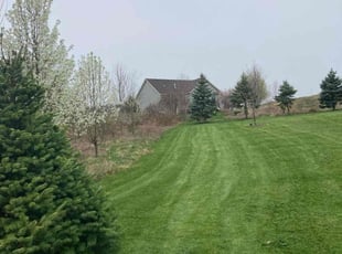 James D.'s Lawn Care service result