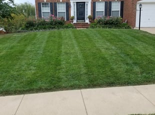Jamie E.'s Lawn Mowing service result