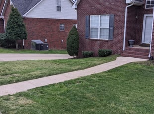 Kyle L.'s Grass Cutting service result