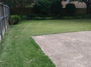 Rene B.'s Lawn Care service result