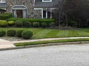 Nichole F.'s Lawn Service service result