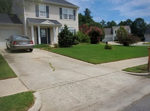Karen M.'s Yard Cutting service result