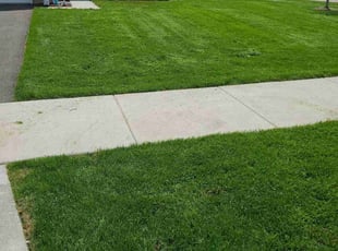 Shiloh F.'s Lawn Service service result
