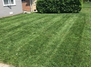 Reginald F.'s Lawn Service service result