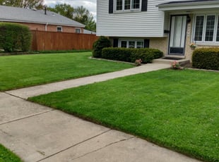 Rudolph D.'s Lawn Care service result
