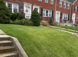Alice G.'s Yard Cutting service result