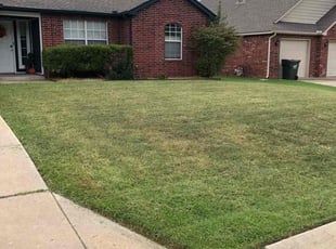 Tammi J.'s Lawn Mowing service result