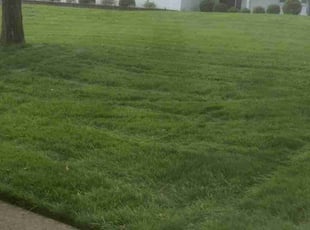 Joe H.'s Yard Cutting service result
