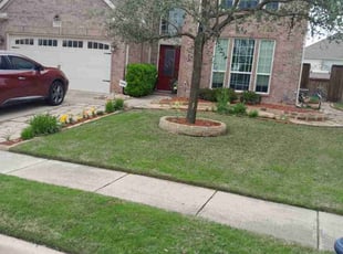 Julianne R.'s Lawn Mowing Service service result