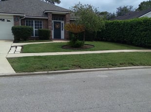 Tamara W.'s Lawn Mowing Service service result