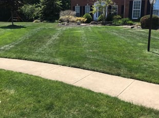 Ashley A.'s Lawn Service service result