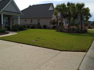 Sarah D.'s Lawn Mowing Service service result