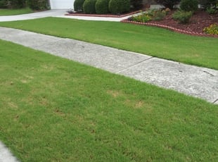 Eileen M.'s Lawn Care service result