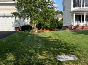 Javonya M.'s Lawn Mowing service result