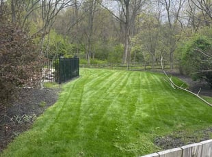 Robb H.'s Lawn Maintenance service result