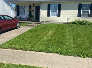 Kyle L.'s Grass Cutting service result