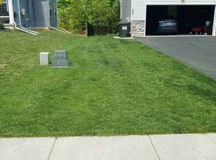 Coretta O.'s Lawn Mowing Service service result
