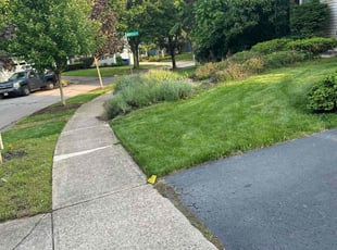 Richard C.'s Lawn Mowing Service service result