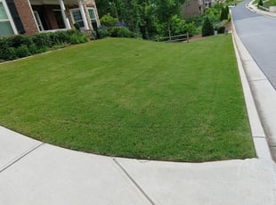 Roger B.'s Lawn Service service result