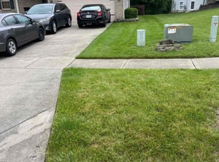 Miriam S.'s Lawn Service service result