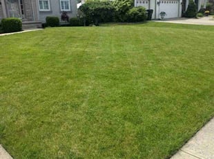 Gary W.'s Lawn Care service result