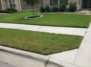 Noel F.'s Lawn Maintenance service result
