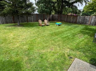 Frank M.'s Lawn Care service result