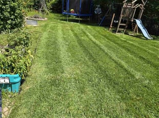 Ghousia S.'s Lawn Maintenance service result