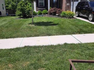 Leigh K.'s Lawn Mowing service result