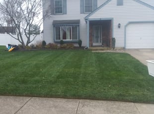 Joel S.'s Lawn Care service result