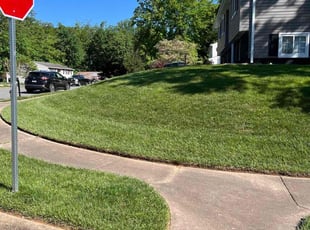 Mitchell M.'s Grass Cutting service result