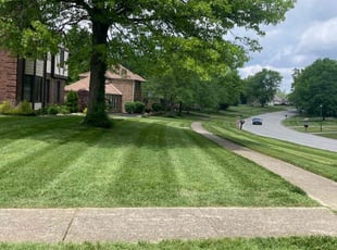 Sean F.'s Yard Cutting service result