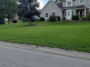 James C.'s Lawn Mowing service result