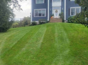 Barbara k.'s Lawn Service service result