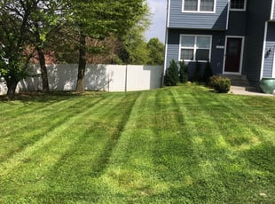 Page P.'s Lawn Care service result