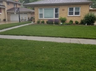 Martin F.'s Lawn Mowing service result